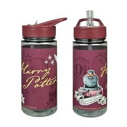 Gourde Plastique Harry Potter